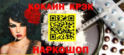 крисы Новозыбков
