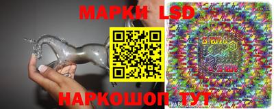 крисы Новозыбков