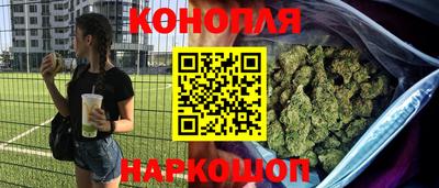 крисы Новозыбков