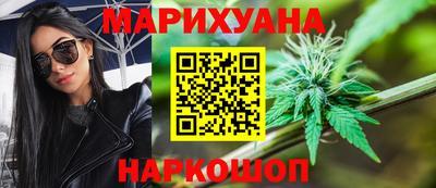 крисы Новозыбков