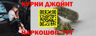 крисы Новозыбков